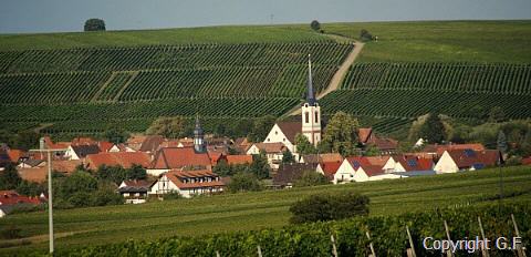 Wandern in der Pfalz, Hessen und dem Saarland