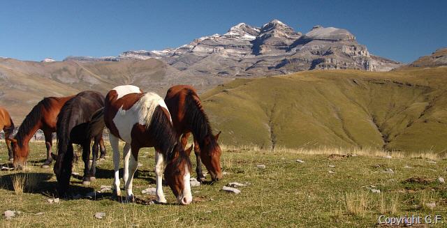 Wandern in den Pyrenen